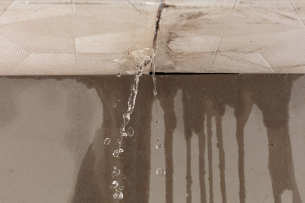 Professional Water Damage Inspection technician working in Campbellsport, WI